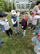 większy obrazek nr 25