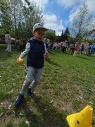 większy obrazek nr 37