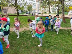 większy obrazek nr 52