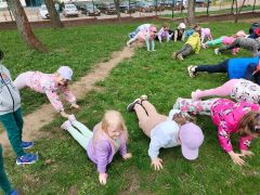 większy obrazek nr 55