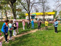 większy obrazek nr 59