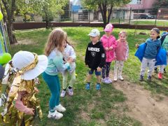 większy obrazek nr 60