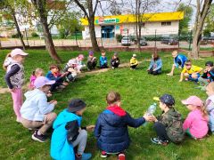 większy obrazek nr 62