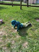 większy obrazek nr 65