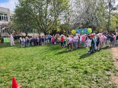 większy obrazek nr 66