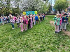 większy obrazek nr 69