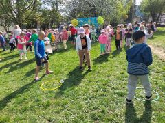 większy obrazek nr 73