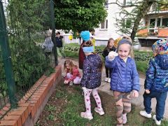 większy obrazek nr 2