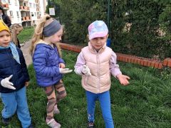 większy obrazek nr 6