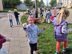 większy obrazek nr 9