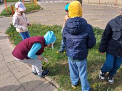 większy obrazek nr 10