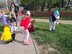 większy obrazek nr 11