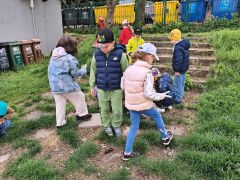 większy obrazek nr 13