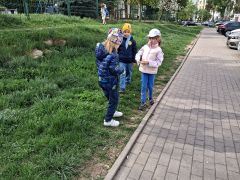 większy obrazek nr 14