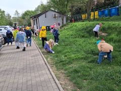 większy obrazek nr 15