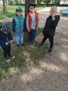 większy obrazek nr 24