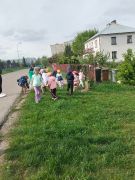 większy obrazek nr 31