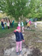 większy obrazek nr 33