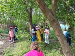 większy obrazek nr 35