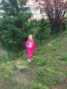 większy obrazek nr 36