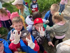 większy obrazek nr 55