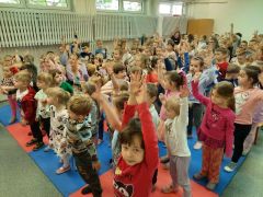 większy obrazek nr 21