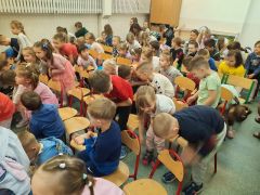 większy obrazek nr 24