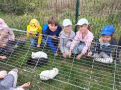 większy obrazek nr 1