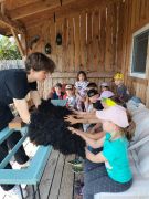 większy obrazek nr 3