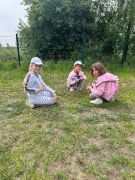 większy obrazek nr 7