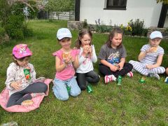 większy obrazek nr 9