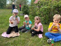 większy obrazek nr 10