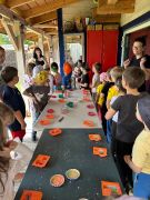 większy obrazek nr 12