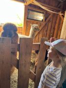 większy obrazek nr 14