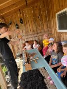 większy obrazek nr 16