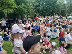 większy obrazek nr 11