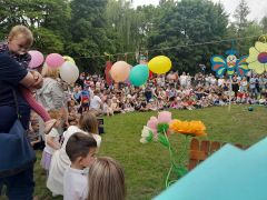 większy obrazek nr 15