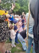 większy obrazek nr 16