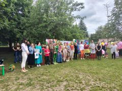 większy obrazek nr 61