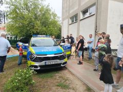 większy obrazek nr 67