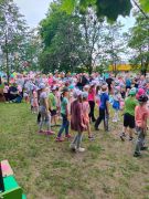 większy obrazek nr 73