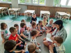 większy obrazek nr 2