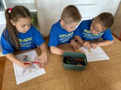 większy obrazek nr 27