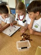 większy obrazek nr 33