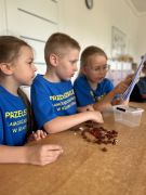 większy obrazek nr 34