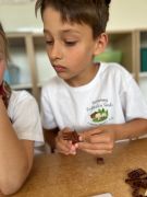 większy obrazek nr 36