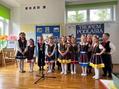 większy obrazek nr 52