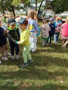 większy obrazek nr 21