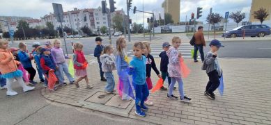 większy obrazek nr 34