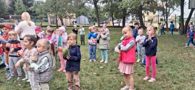 większy obrazek nr 44